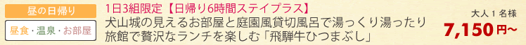 日帰りプラン